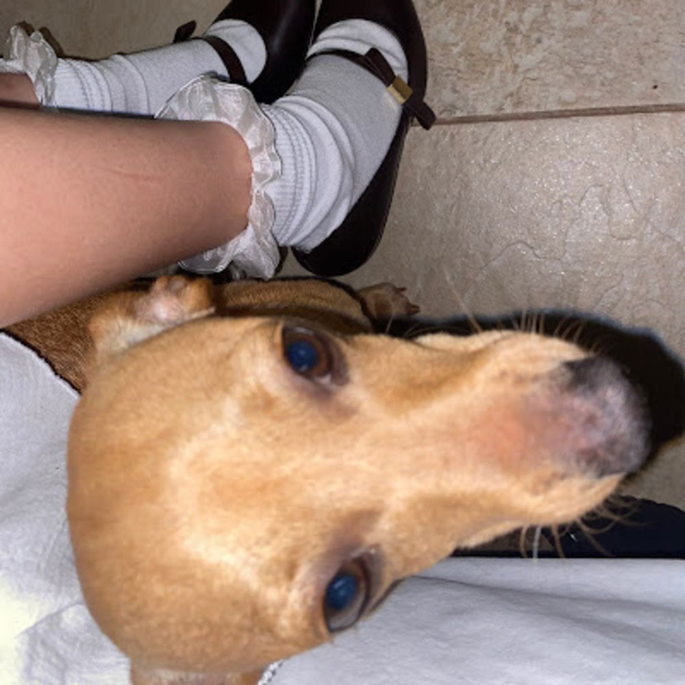 Meet your Posher, Estrella